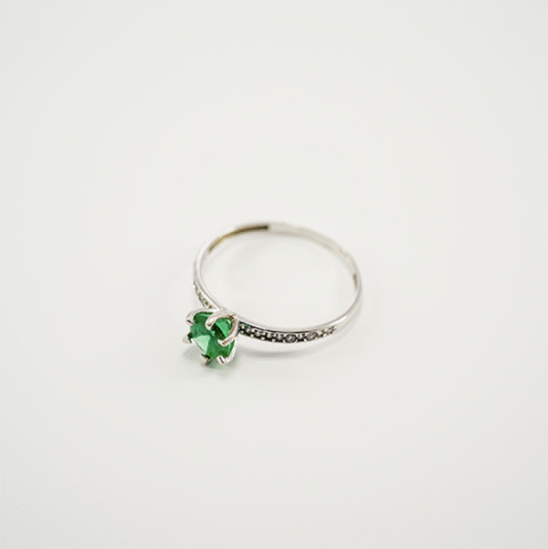 Anillo Redondo