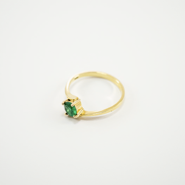 Anillo Redondo