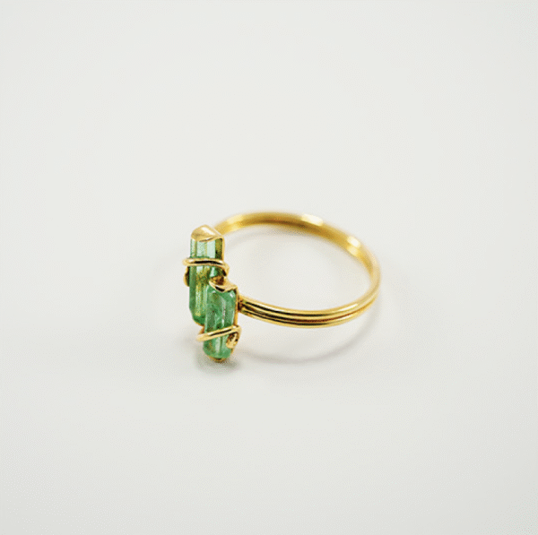 Anillo Canutillo