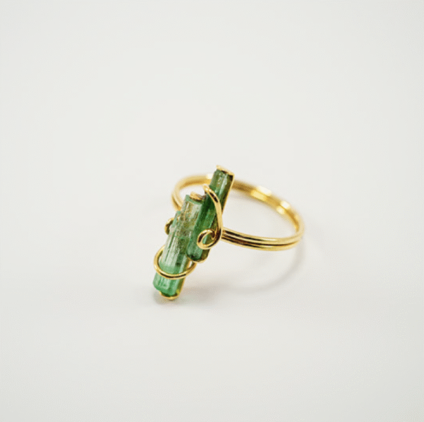 Anillo Canutillo