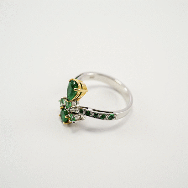 Anillo 16