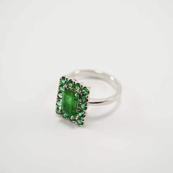 Anillo 14
